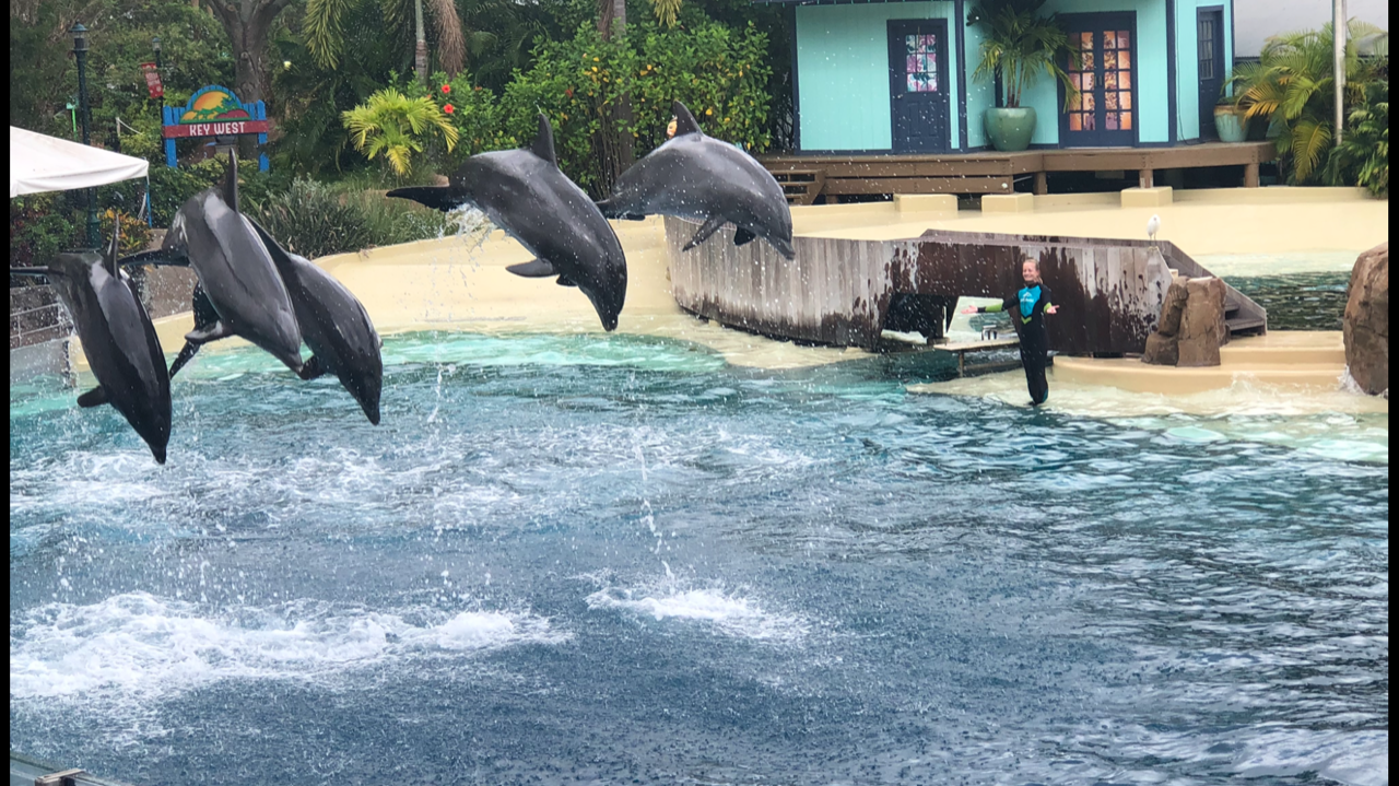 Sea_World