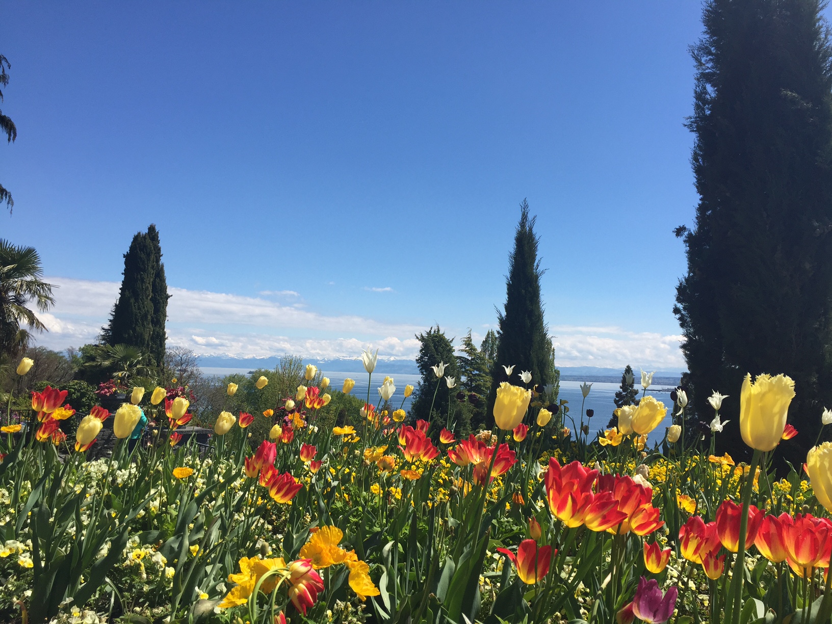 insel mainau 1