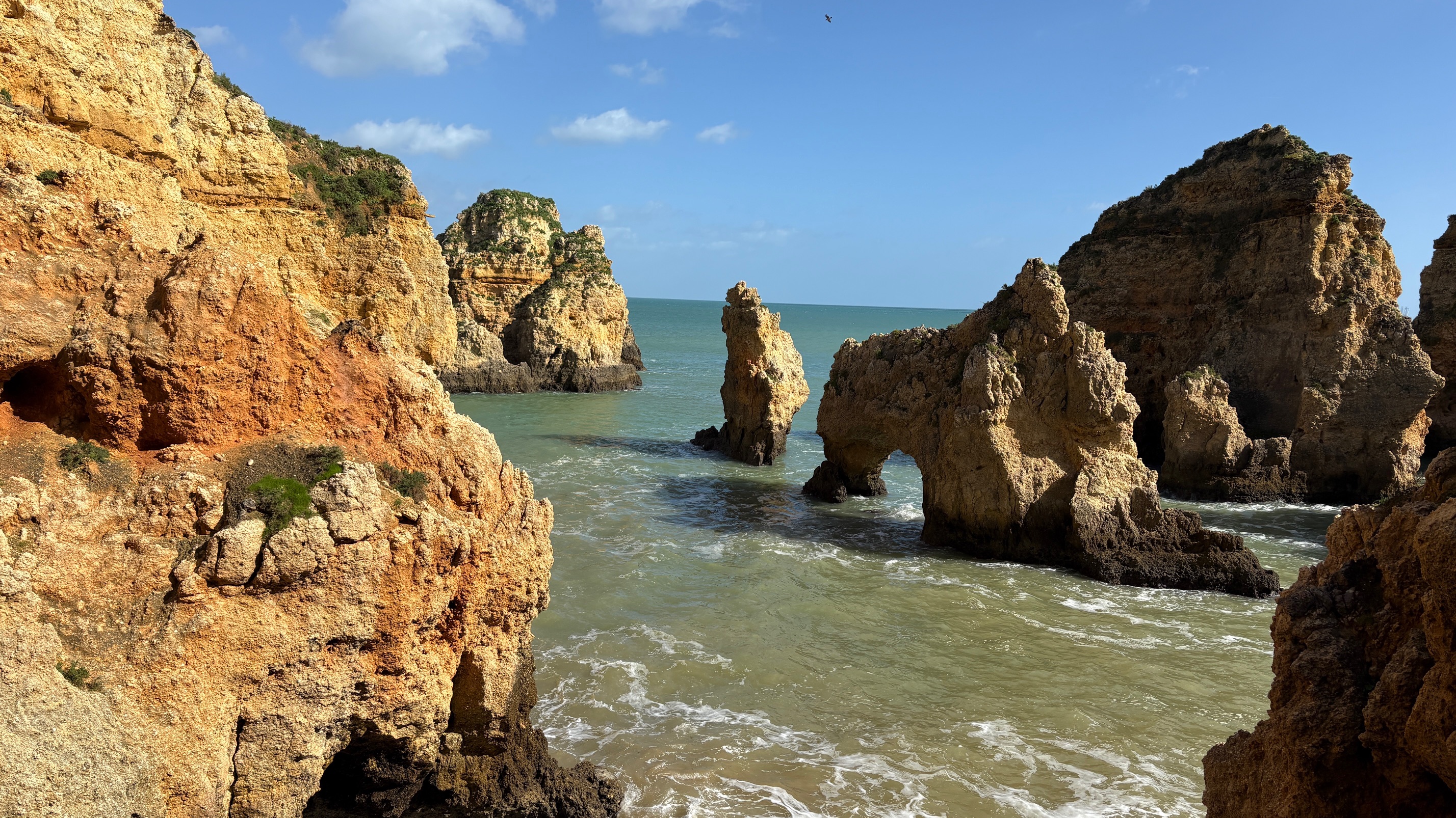 Algarven Klippen Erika